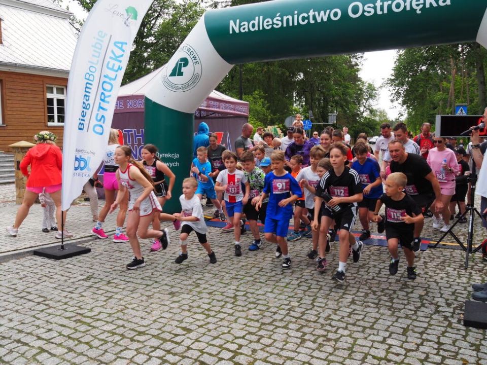 Love Las Run 2025 - fot. UG Olszewo Borki - zdjęcie #9 - eOstroleka.pl