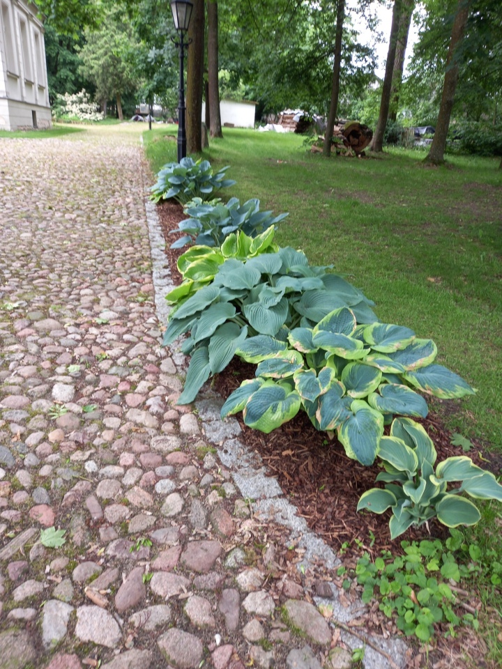 Rada seniorów z wizytą w pałacu w Brzeźnie [09.06.2025] - zdjęcie #14 - eOstroleka.pl