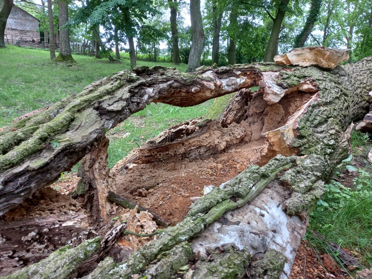 Rada seniorów z wizytą w pałacu w Brzeźnie [09.06.2025] - zdjęcie #9 - eOstroleka.pl