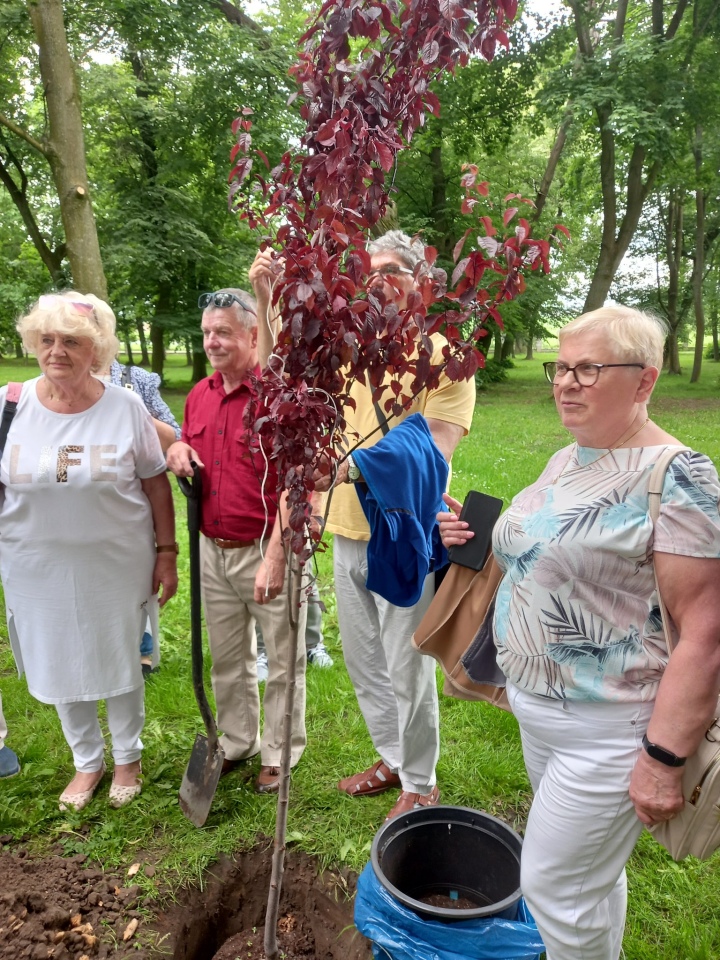 Rada seniorów z wizytą w pałacu w Brzeźnie [09.06.2025] - zdjęcie #7 - eOstroleka.pl