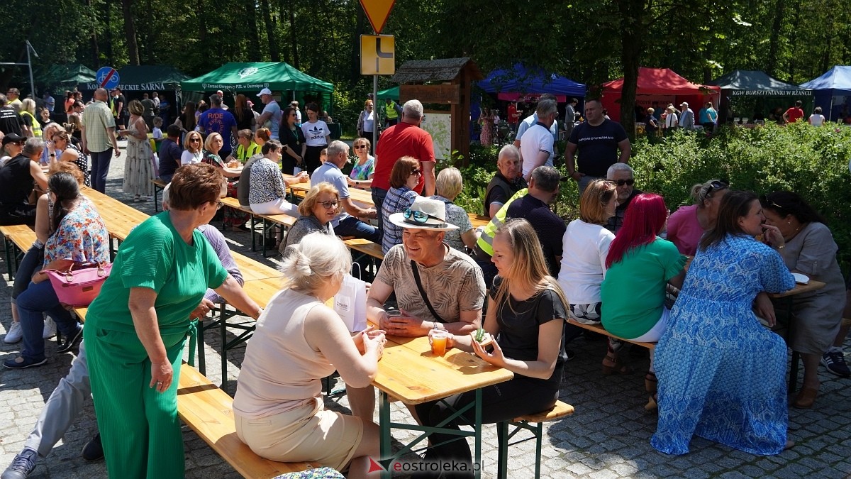 Piknik Przystań u Burbona – Smaki tej Ziemi w Przystani [14.06.2025] - zdjęcie #110 - eOstroleka.pl