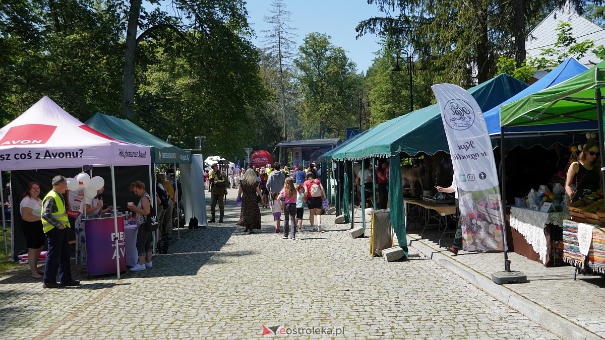 Piknik Przystań u Burbona – Smaki tej Ziemi w Przystani [14.06.2025] - zdjęcie #87 - eOstroleka.pl