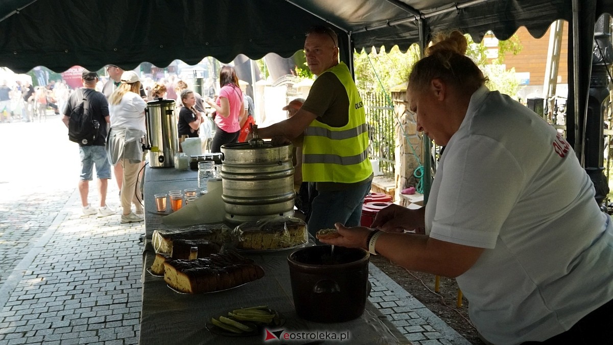 Piknik Przystań u Burbona – Smaki tej Ziemi w Przystani [14.06.2025] - zdjęcie #78 - eOstroleka.pl