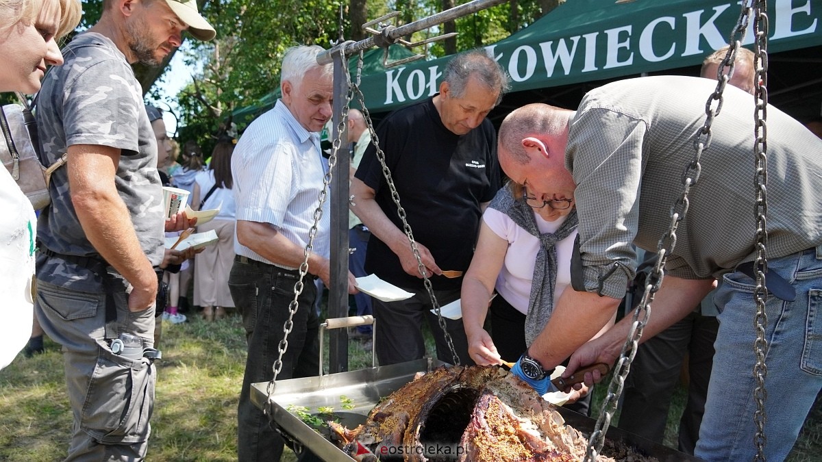 Piknik Przystań u Burbona – Smaki tej Ziemi w Przystani [14.06.2025] - zdjęcie #7 - eOstroleka.pl