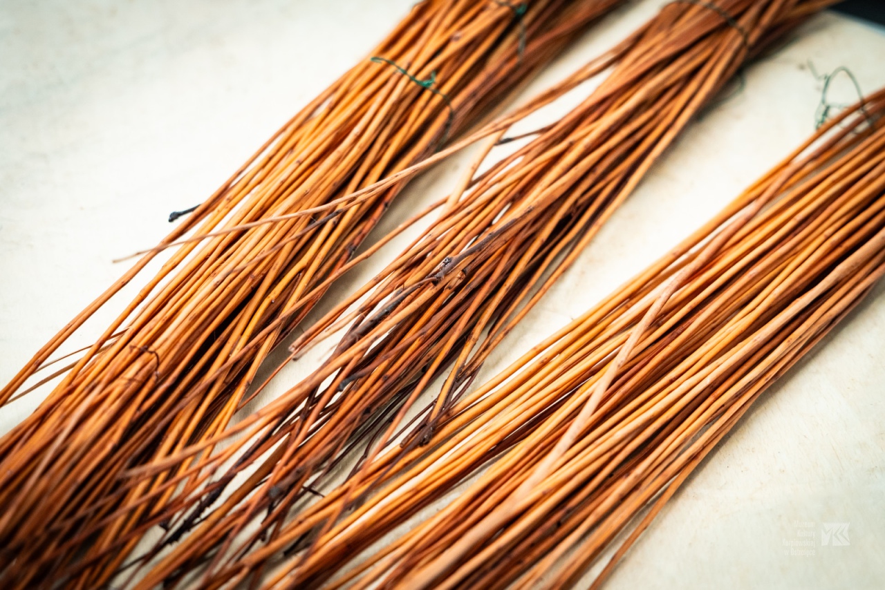 Warsztaty plecionkarskie w Muzeum Kultury Kurpiowskiej [15.06.2025] - zdjęcie #8 - eOstroleka.pl