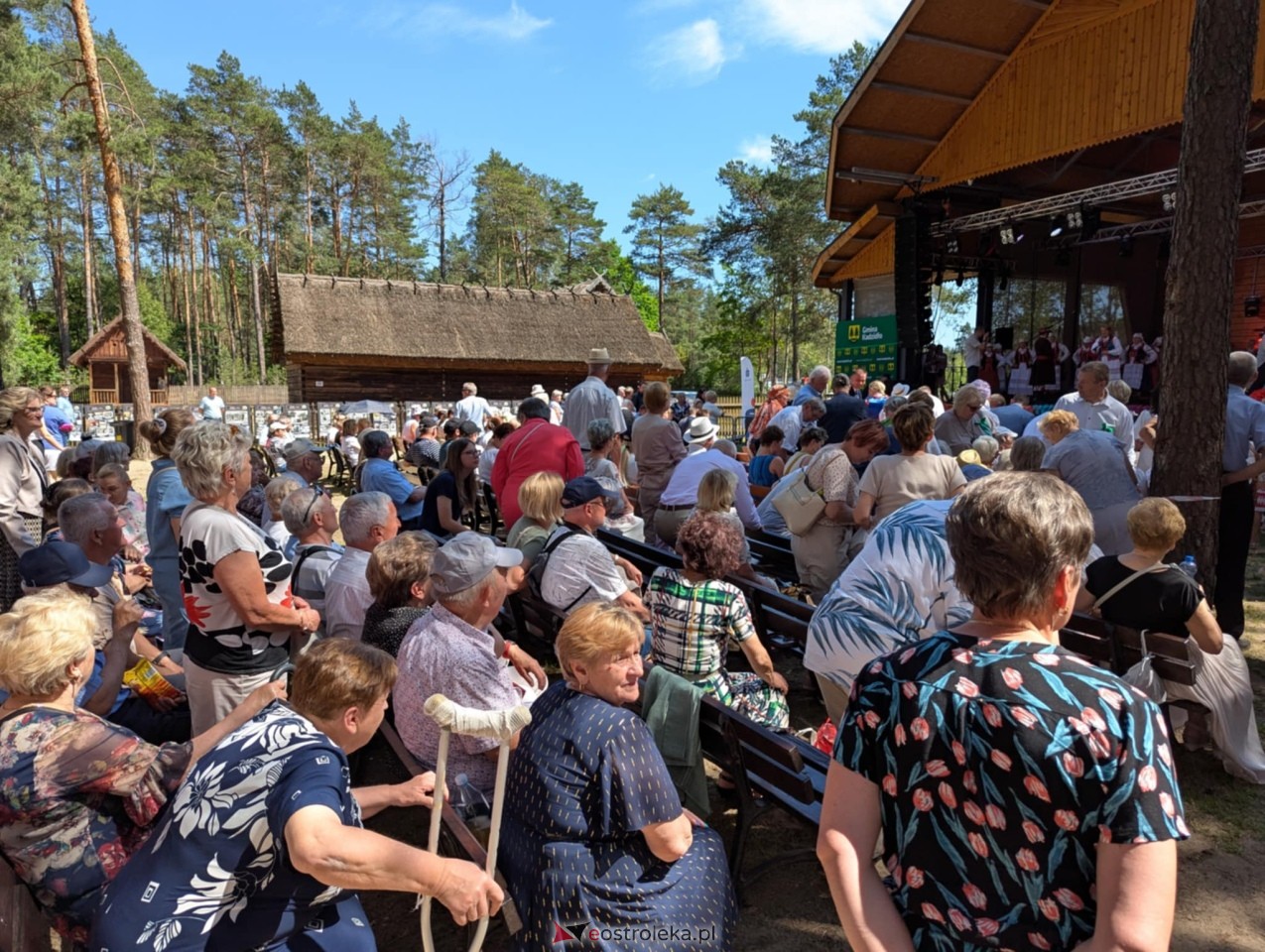 Wesele Kurpiowskie 2025 [15.06.2025] - zdjęcie #391 - eOstroleka.pl