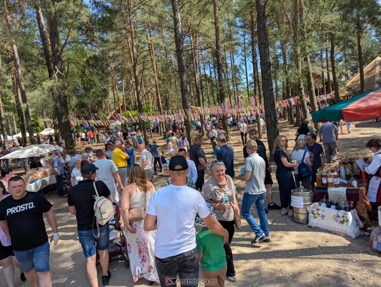 Wesele Kurpiowskie 2025 [15.06.2025] - zdjęcie #387 - eOstroleka.pl
