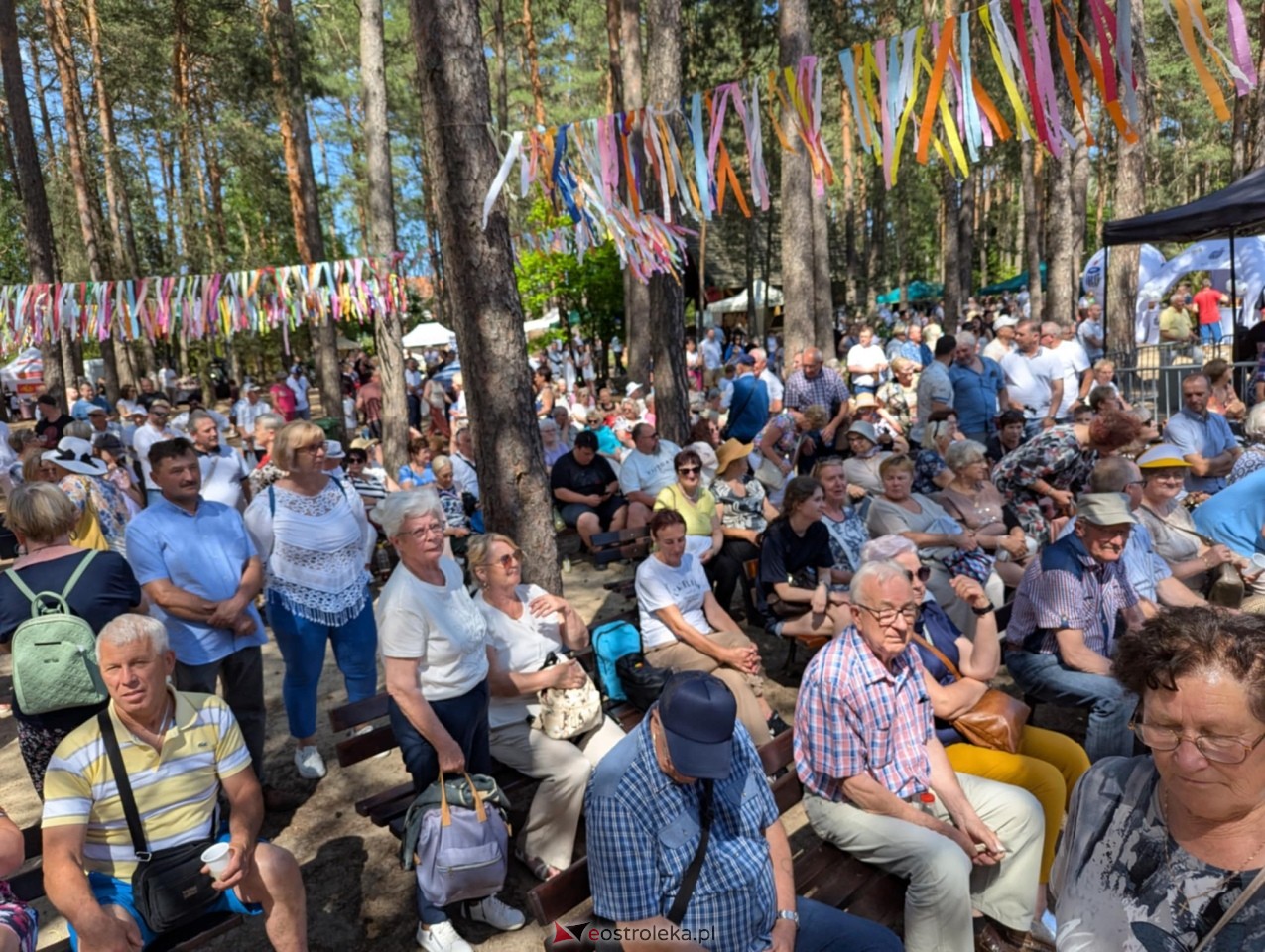 Wesele Kurpiowskie 2025 [15.06.2025] - zdjęcie #375 - eOstroleka.pl
