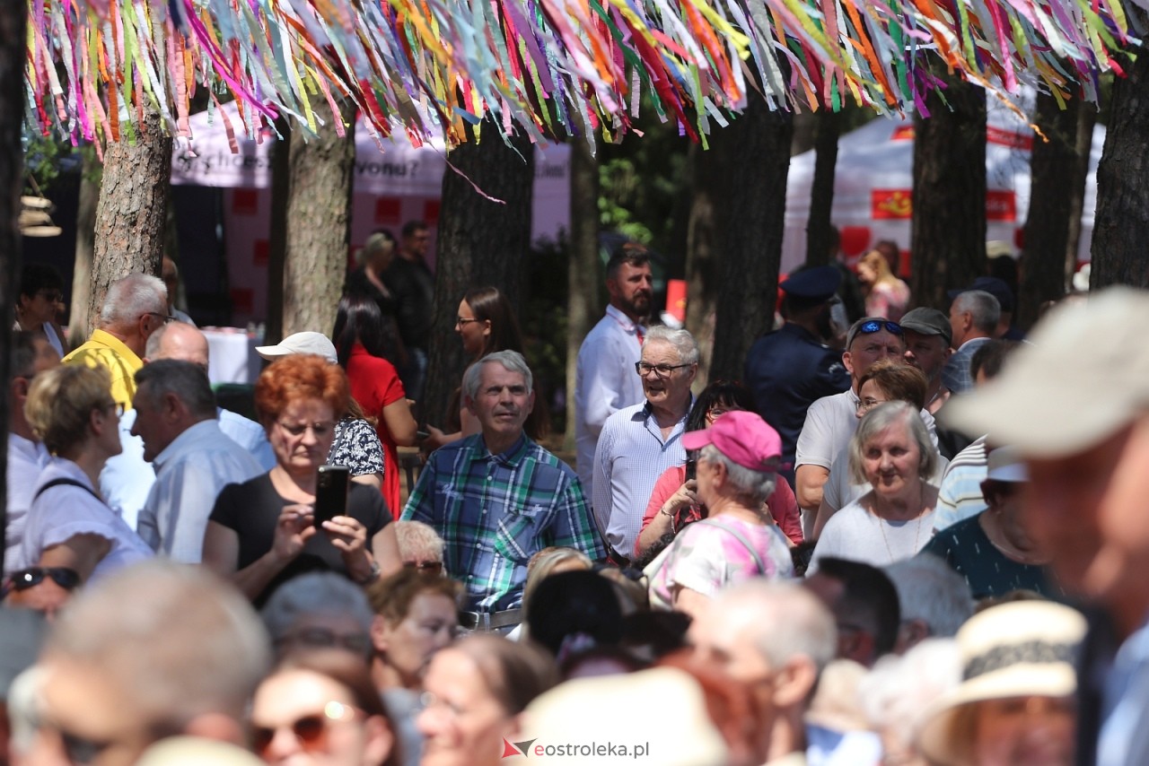 Wesele Kurpiowskie 2025 [15.06.2025] - zdjęcie #226 - eOstroleka.pl