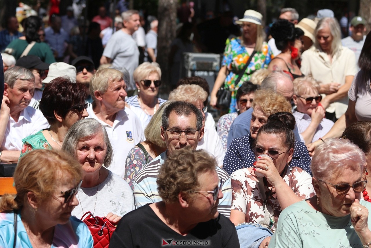 Wesele Kurpiowskie 2025 [15.06.2025] - zdjęcie #210 - eOstroleka.pl