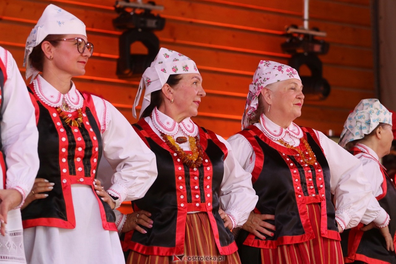 Wesele Kurpiowskie 2025 [15.06.2025] - zdjęcie #205 - eOstroleka.pl