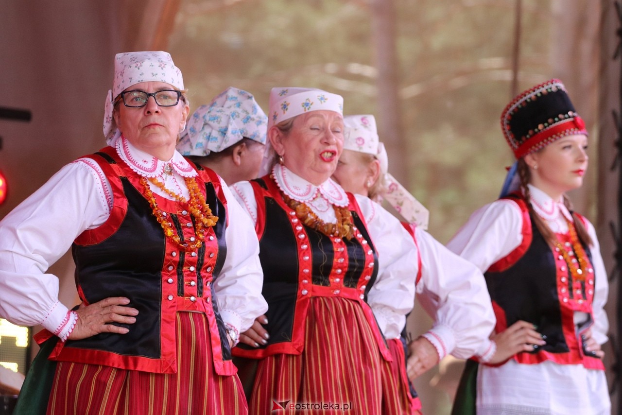 Wesele Kurpiowskie 2025 [15.06.2025] - zdjęcie #204 - eOstroleka.pl