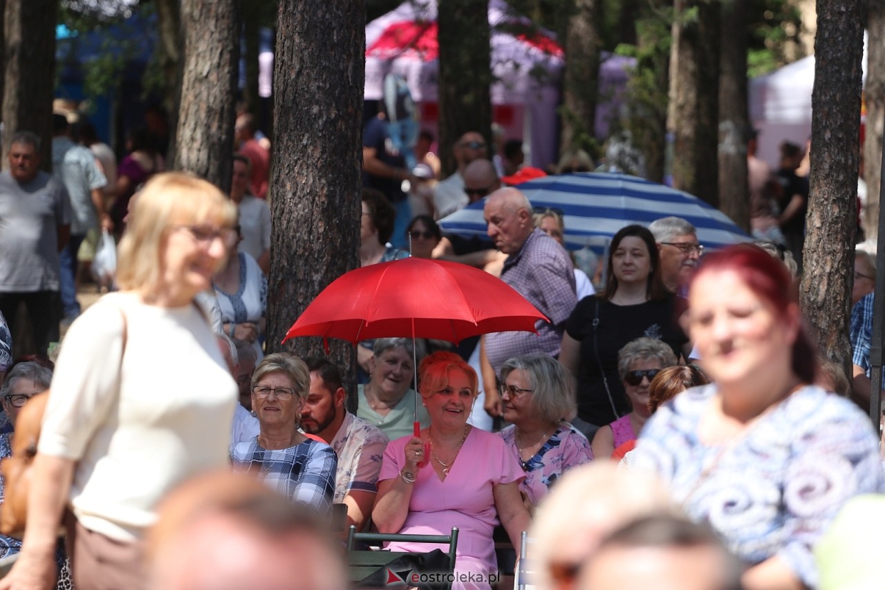 Wesele Kurpiowskie 2025 [15.06.2025] - zdjęcie #149 - eOstroleka.pl