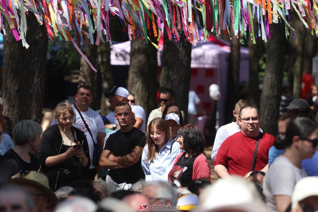 Wesele Kurpiowskie 2025 [15.06.2025] - zdjęcie #127 - eOstroleka.pl