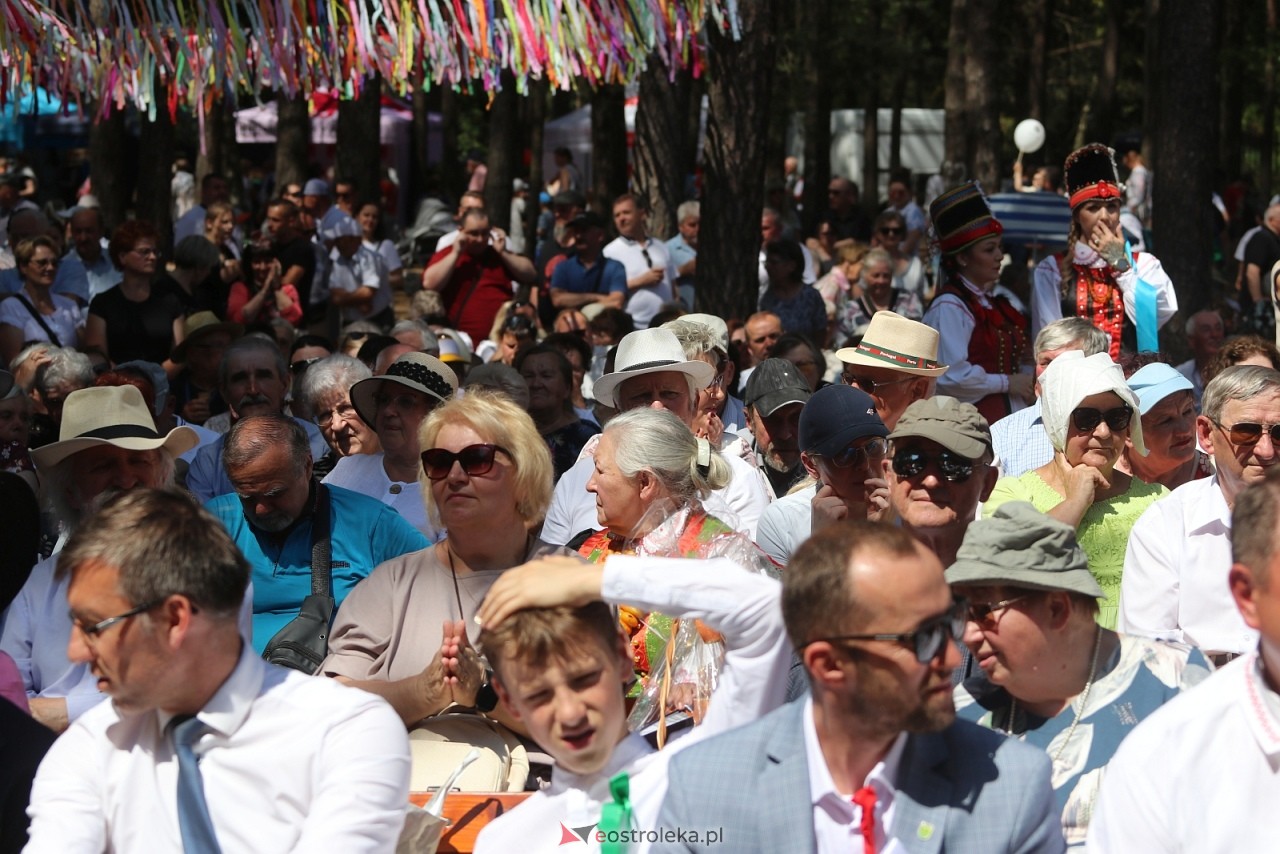 Wesele Kurpiowskie 2025 [15.06.2025] - zdjęcie #114 - eOstroleka.pl