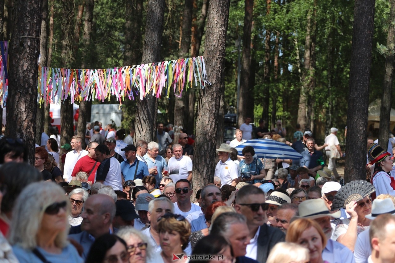 Wesele Kurpiowskie 2025 [15.06.2025] - zdjęcie #102 - eOstroleka.pl
