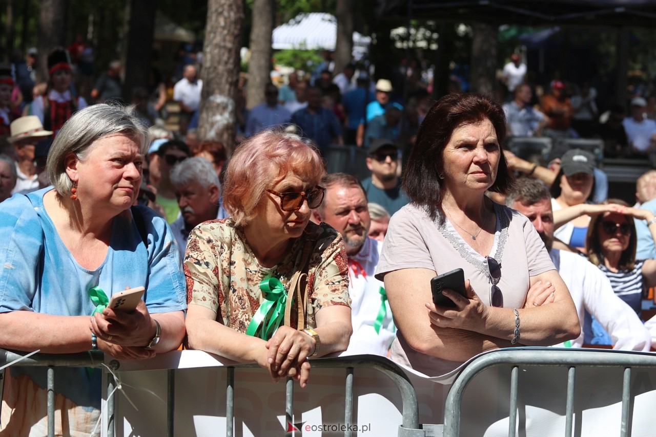 Wesele Kurpiowskie 2025 [15.06.2025] - zdjęcie #39 - eOstroleka.pl