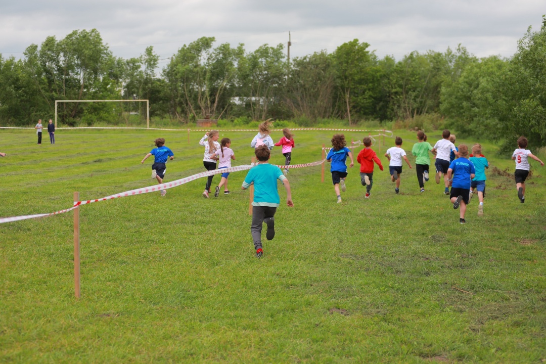 IV Gminna Olimpiada w Biegach Przełajowych w Borawem [17.06.2025] - zdjęcie #4 - eOstroleka.pl