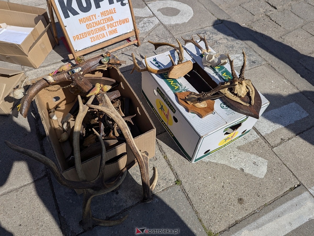 Pchli targ w Ostrołęce [21.06.2025] - zdjęcie #142 - eOstroleka.pl