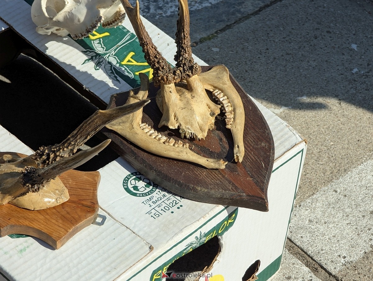 Pchli targ w Ostrołęce [21.06.2025] - zdjęcie #141 - eOstroleka.pl