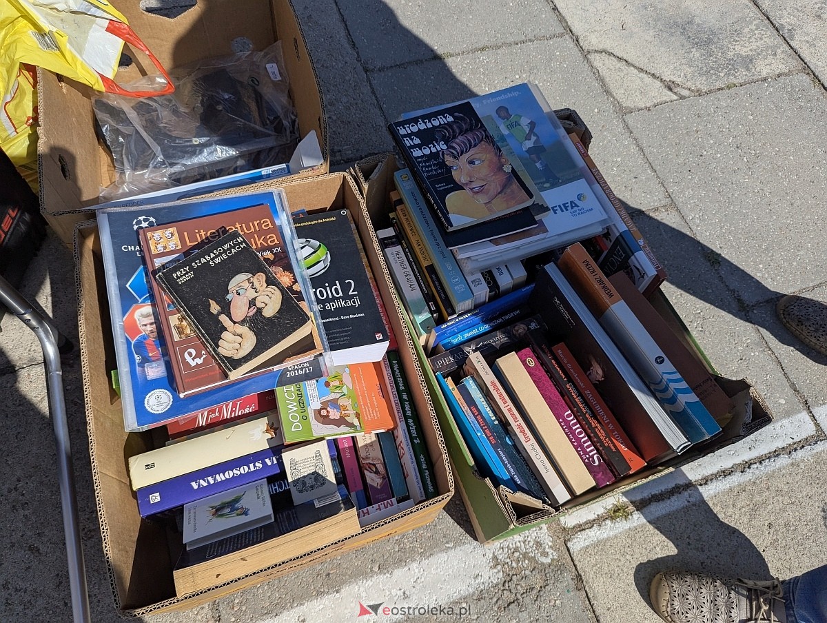 Pchli targ w Ostrołęce [21.06.2025] - zdjęcie #134 - eOstroleka.pl