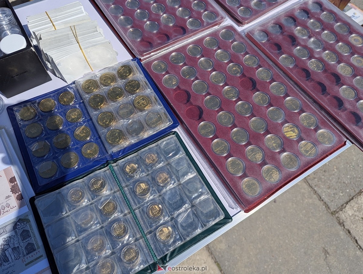 Pchli targ w Ostrołęce [21.06.2025] - zdjęcie #132 - eOstroleka.pl