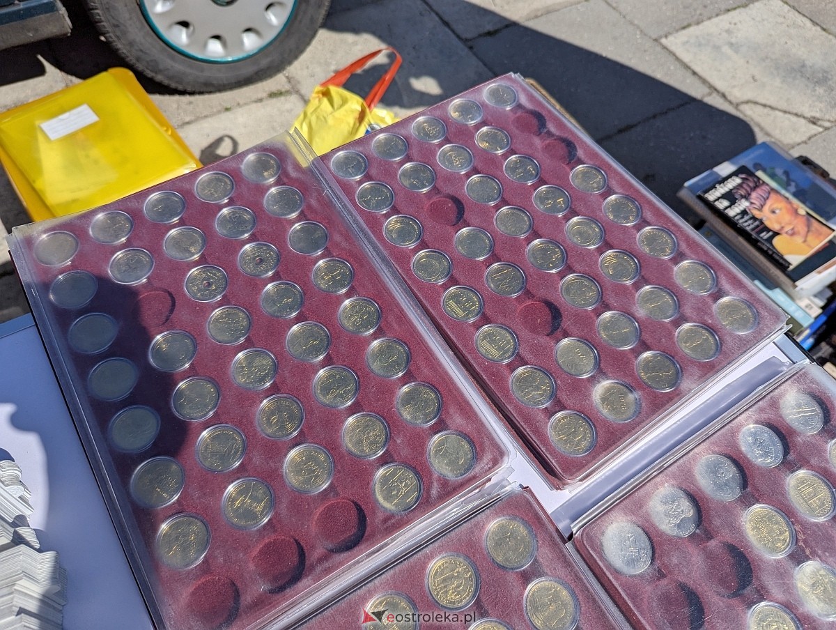 Pchli targ w Ostrołęce [21.06.2025] - zdjęcie #131 - eOstroleka.pl