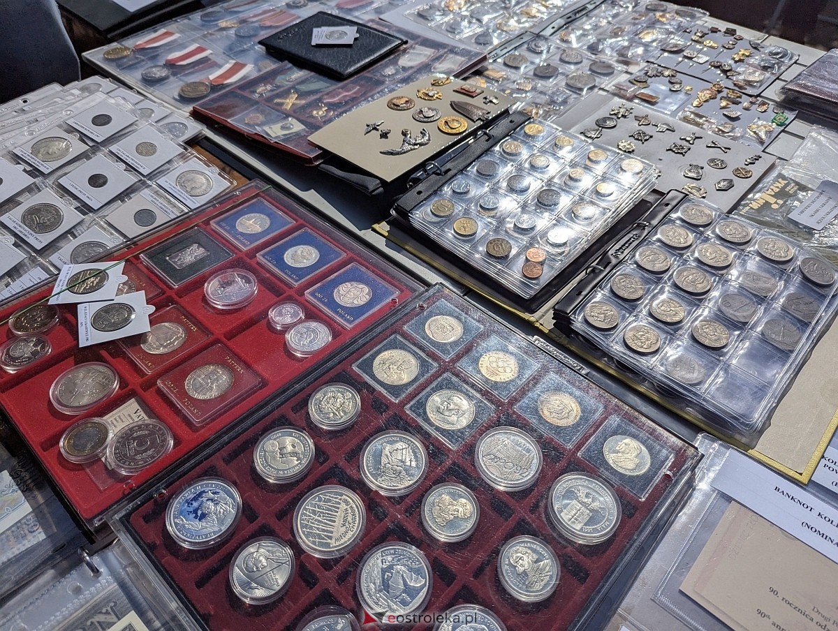 Pchli targ w Ostrołęce [21.06.2025] - zdjęcie #125 - eOstroleka.pl