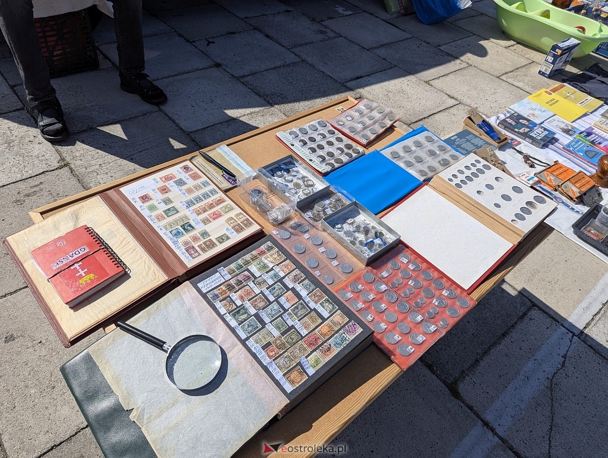 Pchli targ w Ostrołęce [21.06.2025] - zdjęcie #111 - eOstroleka.pl