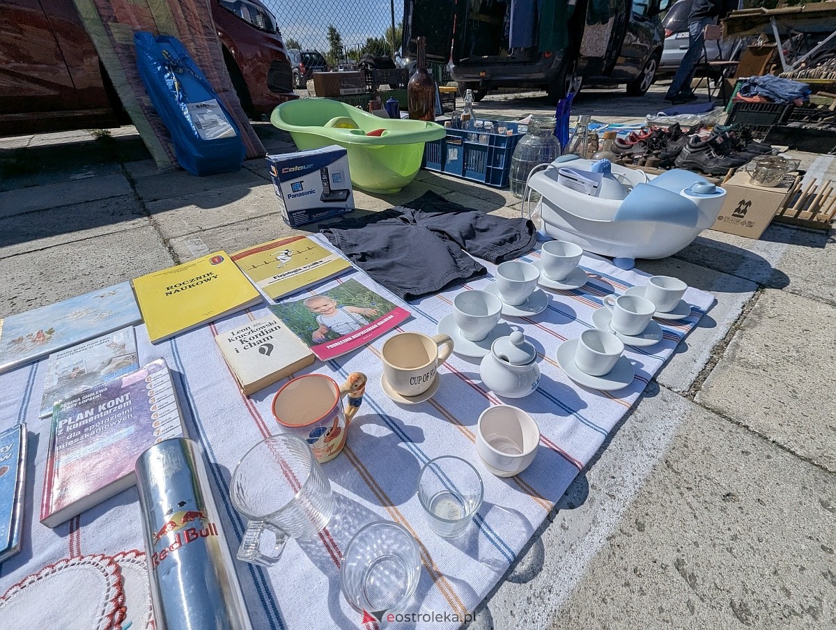 Pchli targ w Ostrołęce [21.06.2025] - zdjęcie #109 - eOstroleka.pl