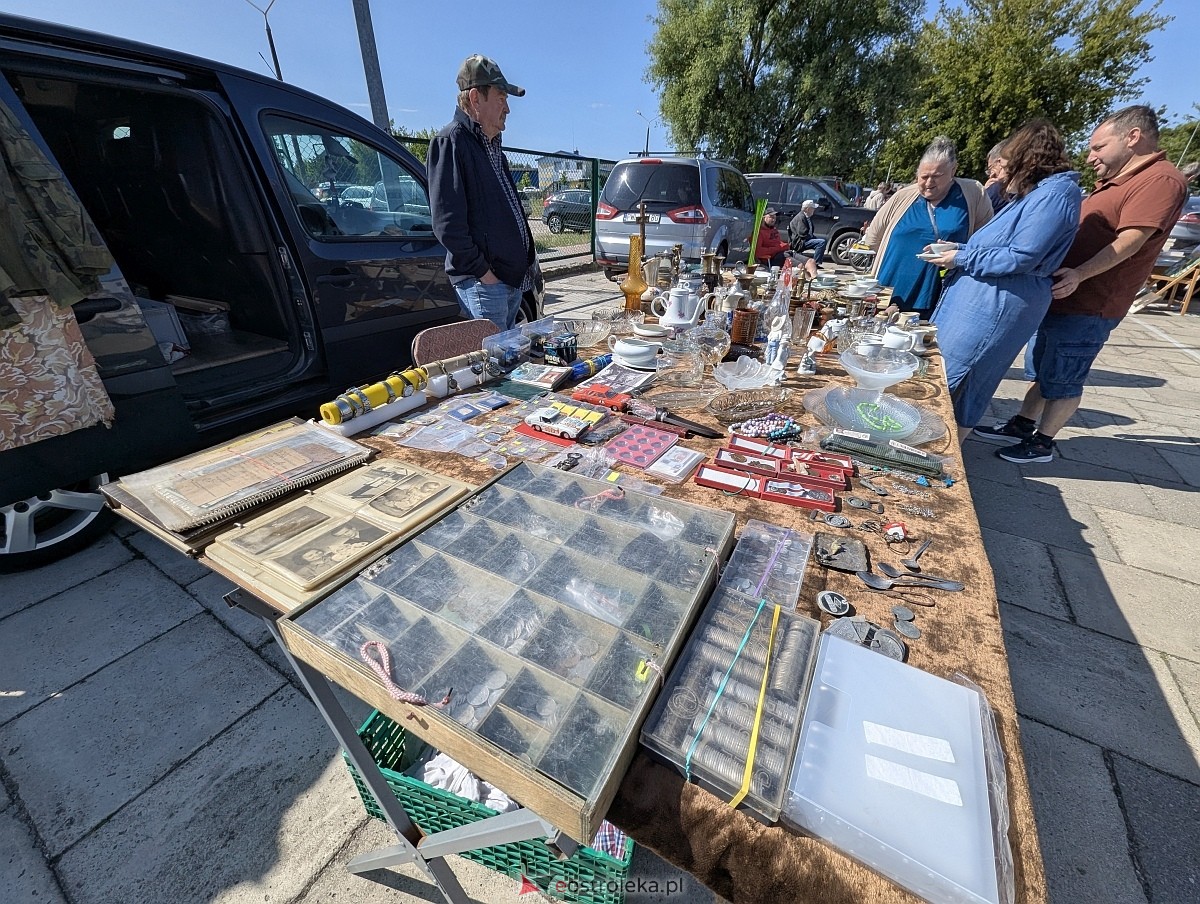 Pchli targ w Ostrołęce [21.06.2025] - zdjęcie #105 - eOstroleka.pl