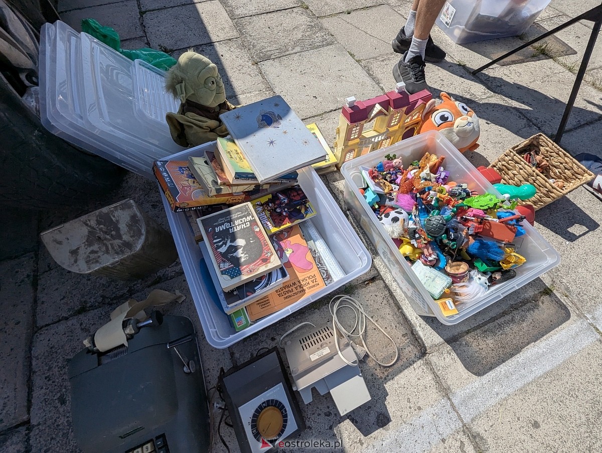 Pchli targ w Ostrołęce [21.06.2025] - zdjęcie #96 - eOstroleka.pl