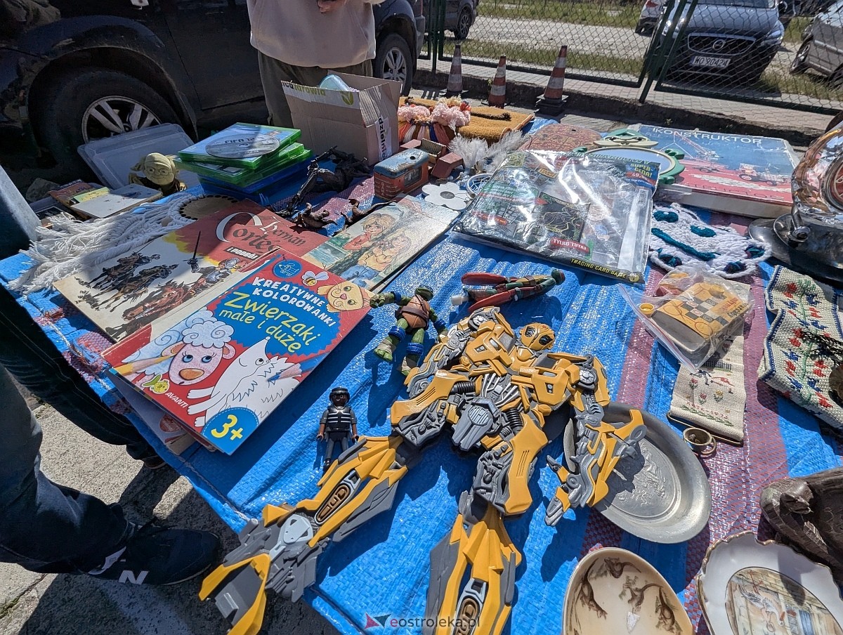 Pchli targ w Ostrołęce [21.06.2025] - zdjęcie #94 - eOstroleka.pl