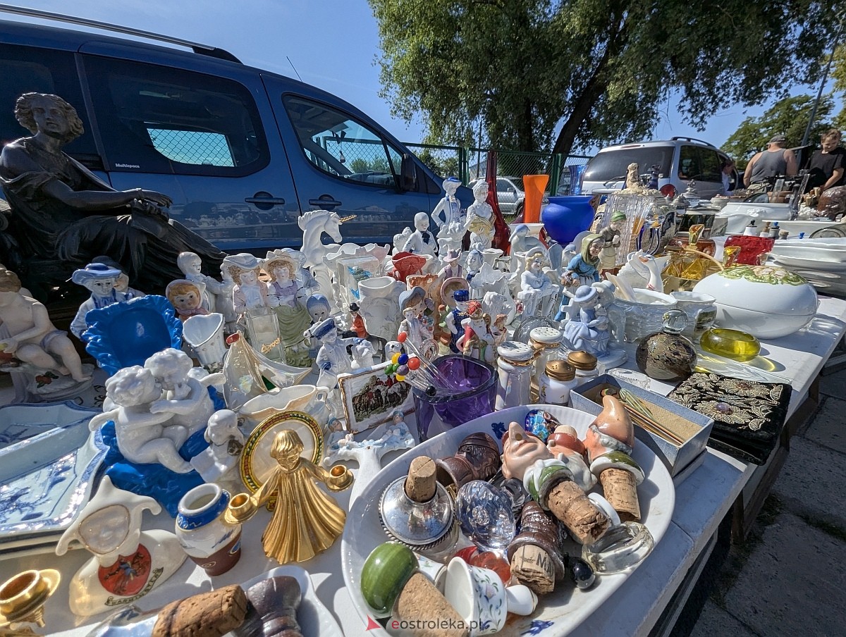 Pchli targ w Ostrołęce [21.06.2025] - zdjęcie #83 - eOstroleka.pl