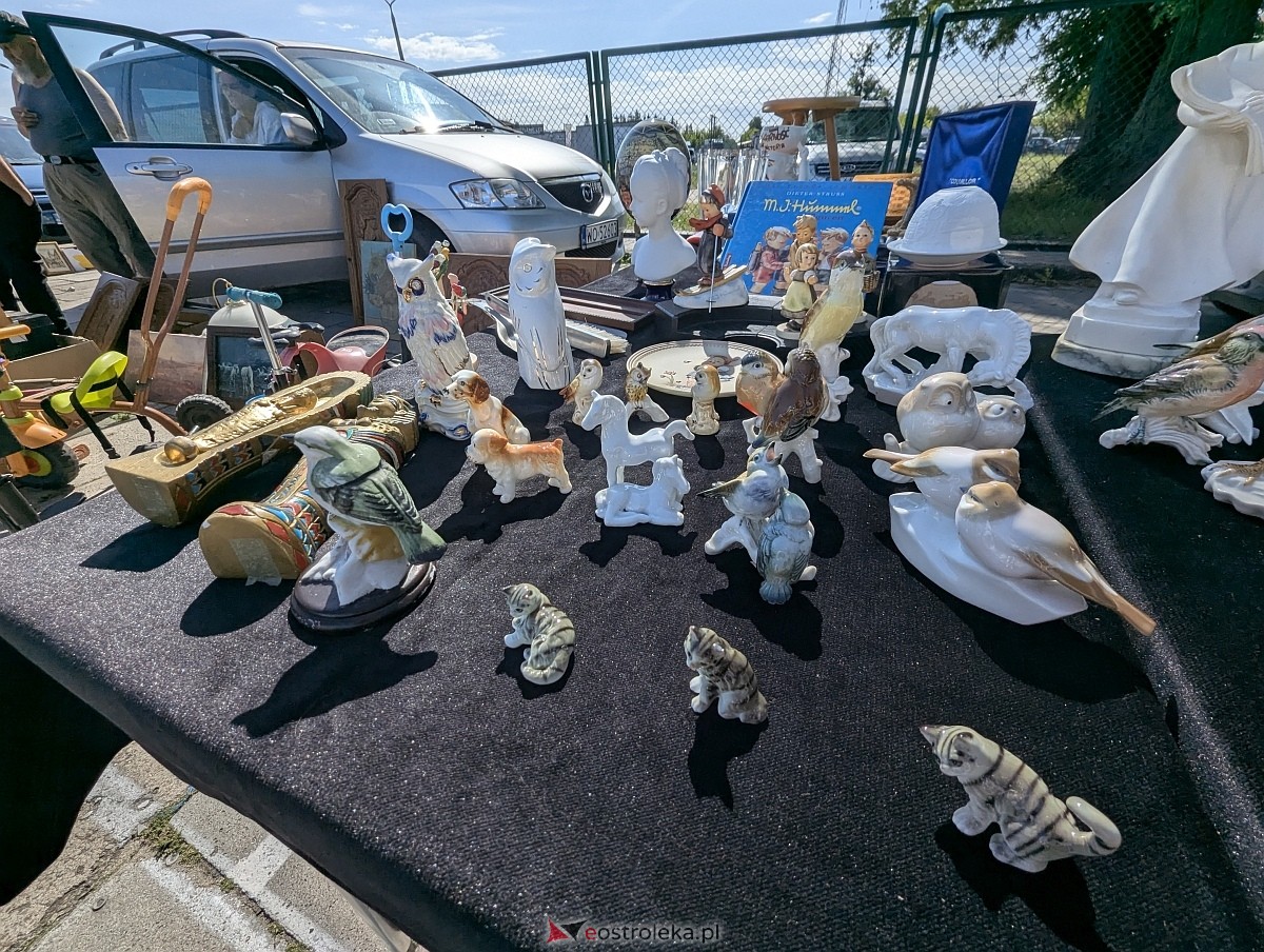 Pchli targ w Ostrołęce [21.06.2025] - zdjęcie #76 - eOstroleka.pl