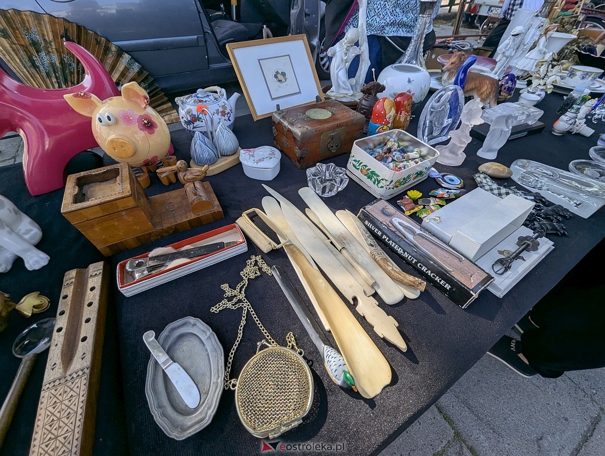 Pchli targ w Ostrołęce [21.06.2025] - zdjęcie #74 - eOstroleka.pl