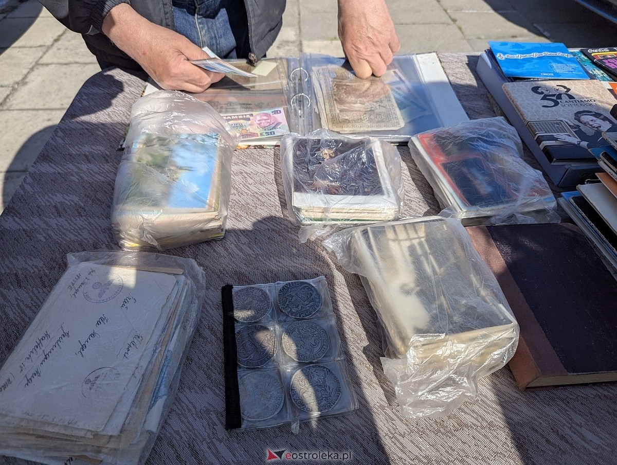 Pchli targ w Ostrołęce [21.06.2025] - zdjęcie #52 - eOstroleka.pl