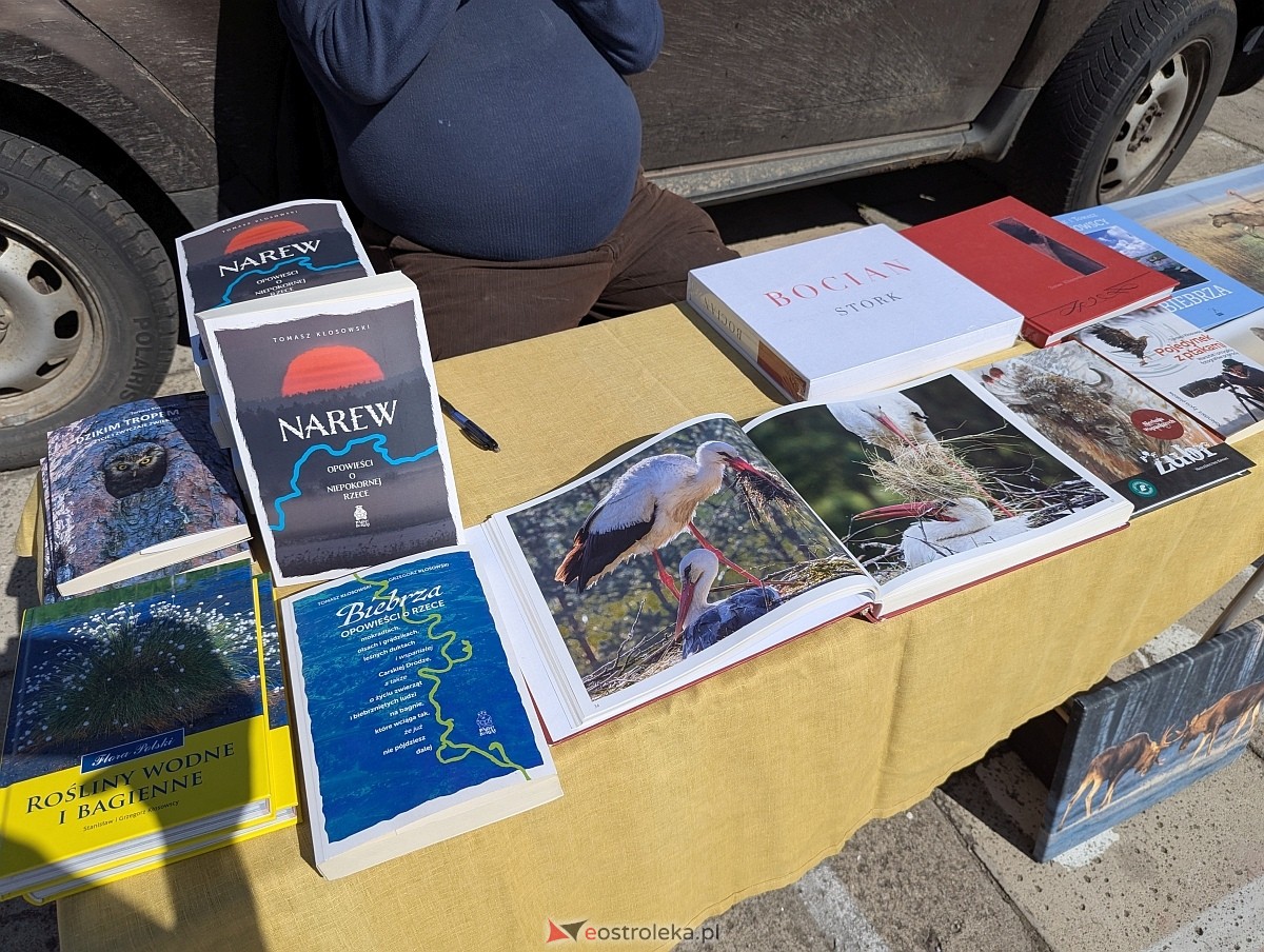 Pchli targ w Ostrołęce [21.06.2025] - zdjęcie #45 - eOstroleka.pl