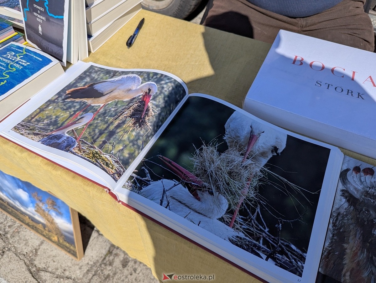 Pchli targ w Ostrołęce [21.06.2025] - zdjęcie #44 - eOstroleka.pl