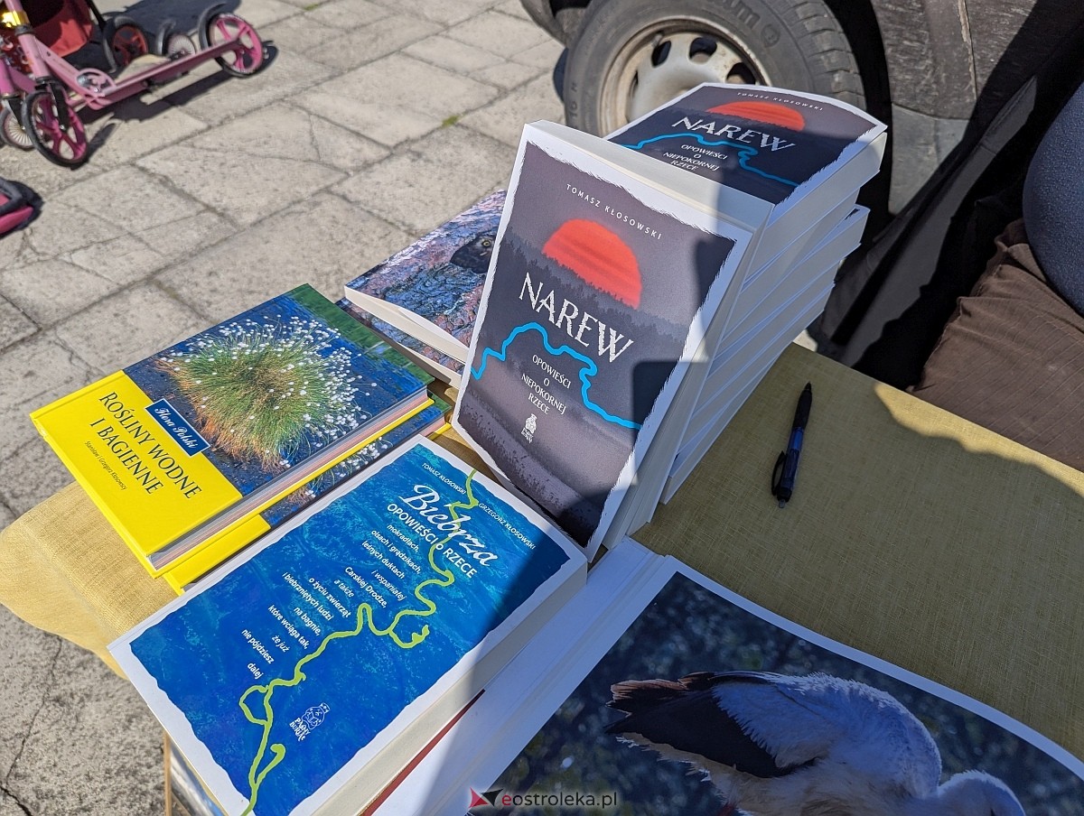 Pchli targ w Ostrołęce [21.06.2025] - zdjęcie #43 - eOstroleka.pl