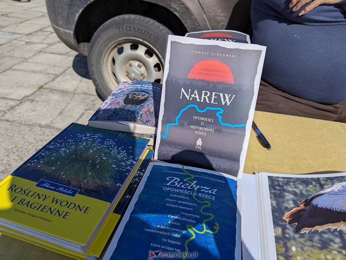 Pchli targ w Ostrołęce [21.06.2025] - zdjęcie #42 - eOstroleka.pl