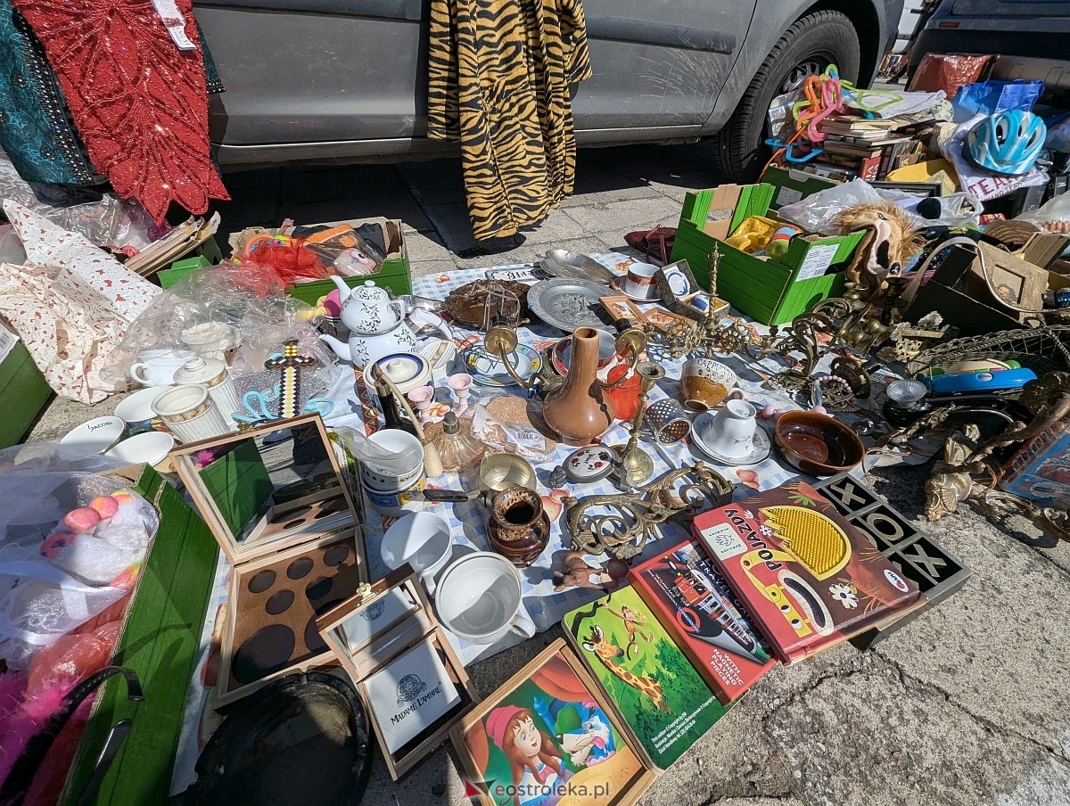 Pchli targ w Ostrołęce [21.06.2025] - zdjęcie #38 - eOstroleka.pl