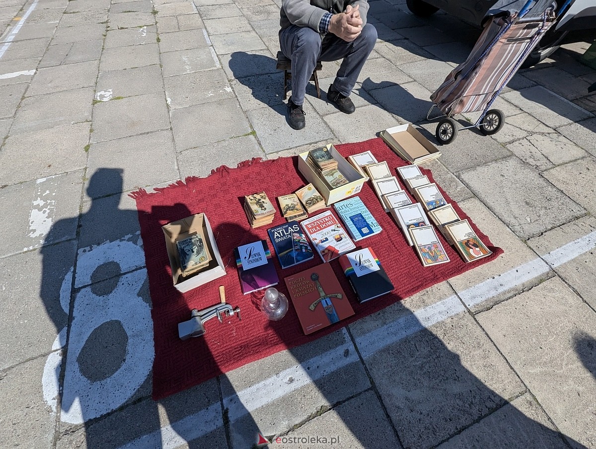 Pchli targ w Ostrołęce [21.06.2025] - zdjęcie #32 - eOstroleka.pl