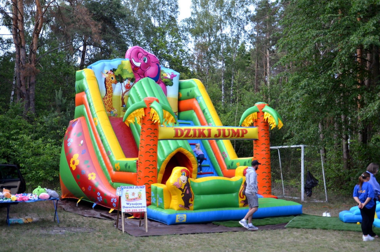 Rodzinny piknik wiejski w Klimkach w gminie Kadzidło [23.06.2025] - zdjęcie #14 - eOstroleka.pl