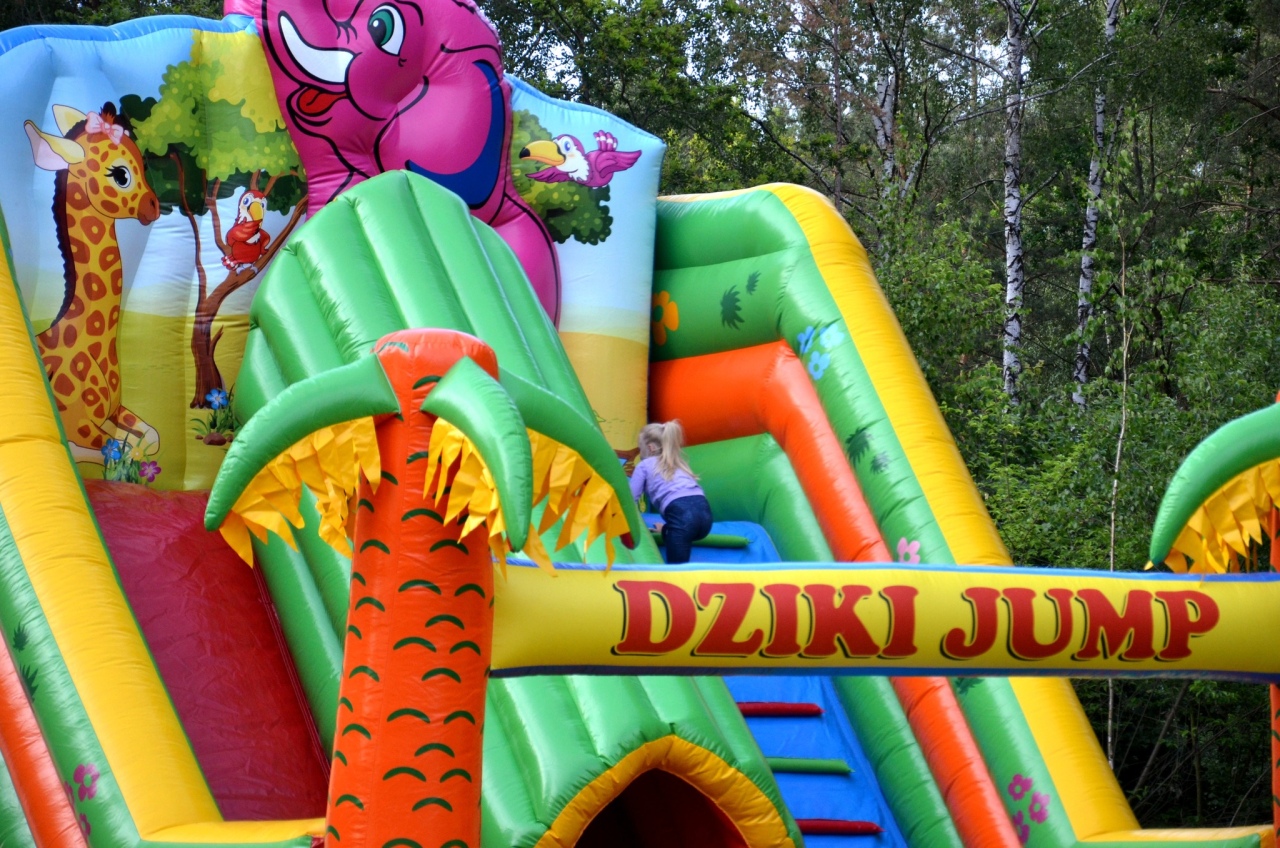Rodzinny piknik wiejski w Klimkach w gminie Kadzidło [23.06.2025] - zdjęcie #12 - eOstroleka.pl