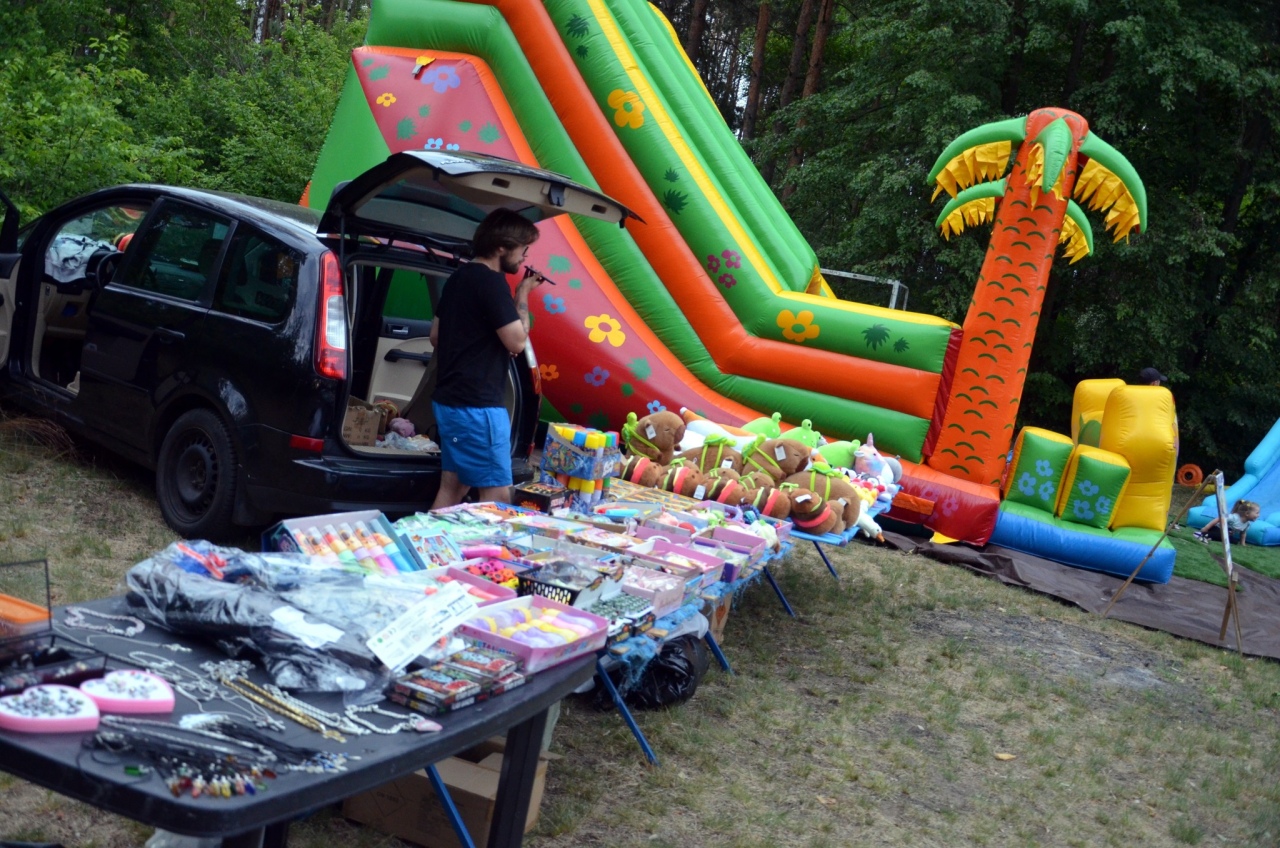Rodzinny piknik wiejski w Klimkach w gminie Kadzidło [23.06.2025] - zdjęcie #4 - eOstroleka.pl