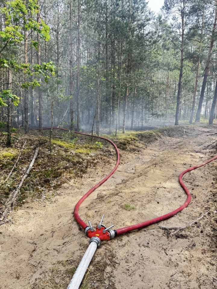 Pożar lasu w Czarnotrzewiu, gm. Baranowo [23.06.2025] - zdjęcie #1 - eOstroleka.pl