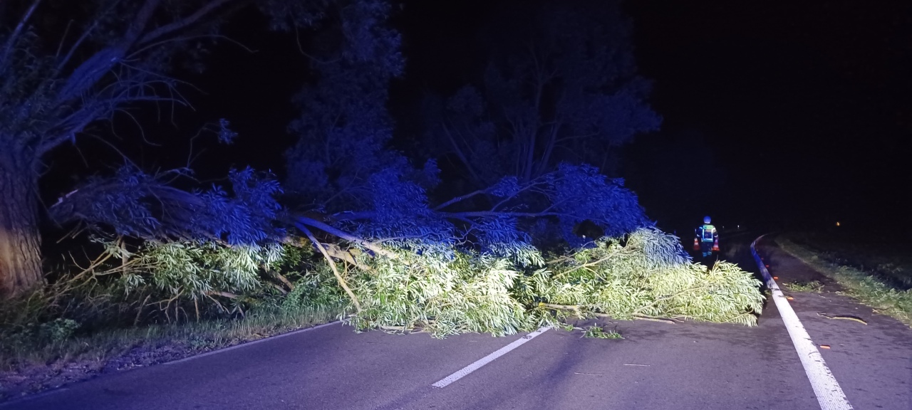 Gwałtowna nawałnica nad Ostrołęką i powiatem ostrołęckim [24.06.2025] - zdjęcie #2 - eOstroleka.pl