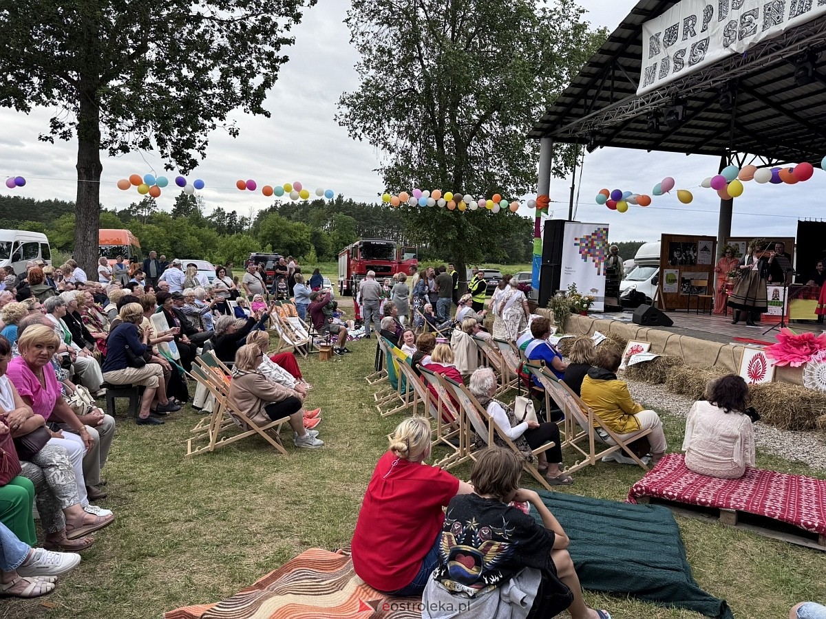 Noc Świętojańska w Nowogrodzie [28.06.2025] - zdjęcie #63 - eOstroleka.pl