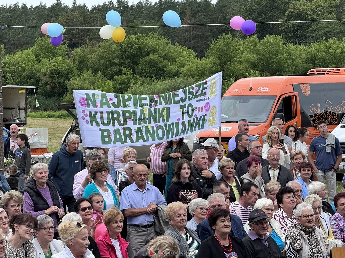 Noc Świętojańska w Nowogrodzie [28.06.2025] - zdjęcie #30 - eOstroleka.pl